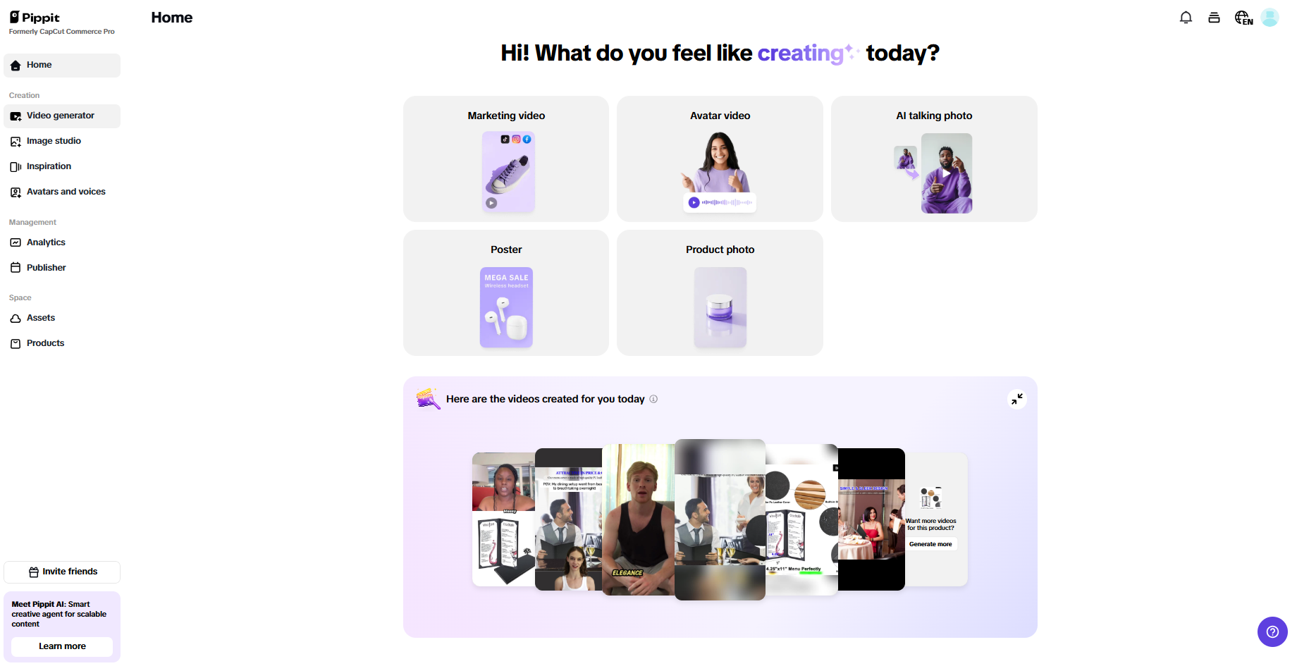 Pippit interface