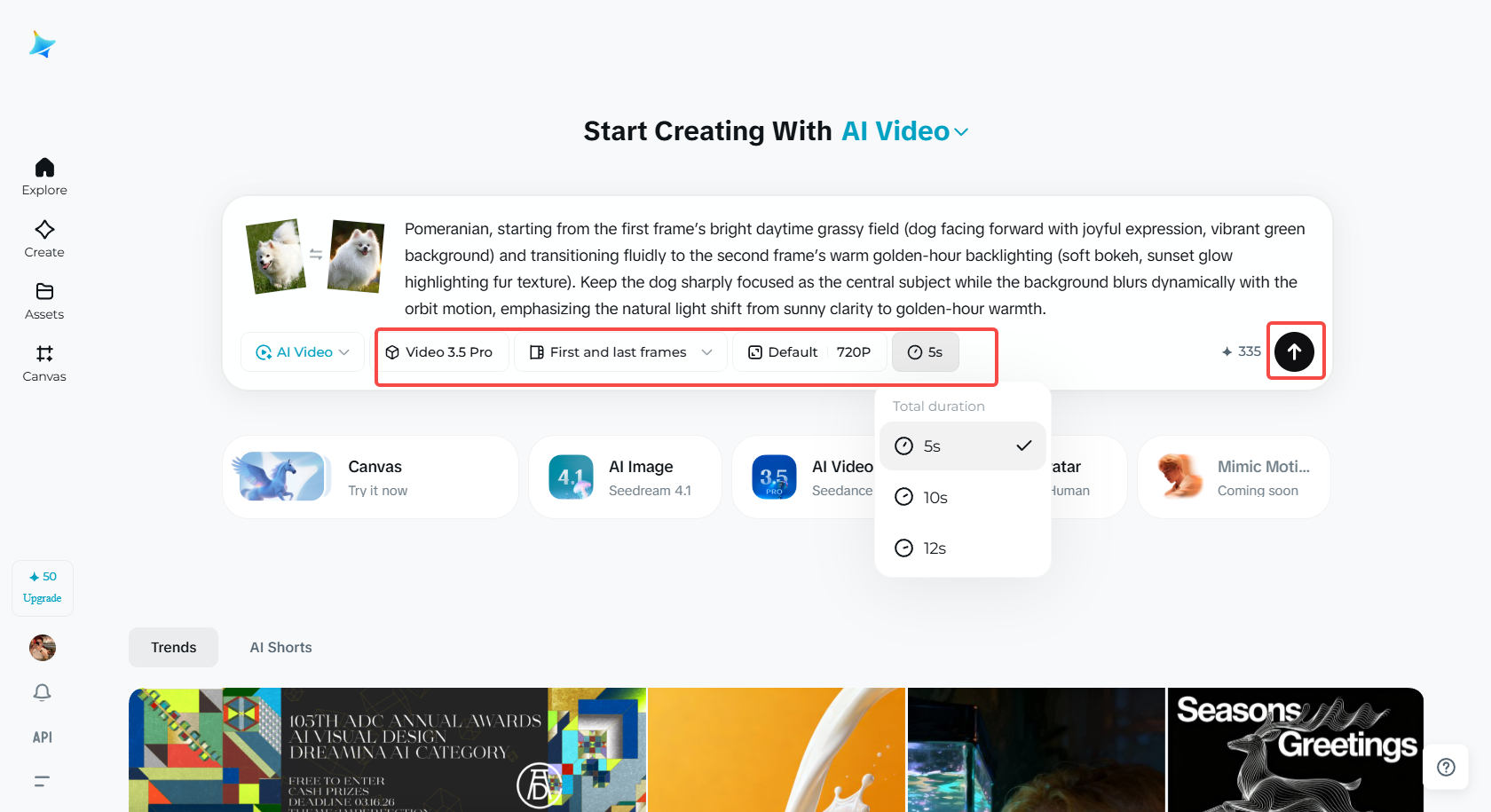 Select the video model and duration