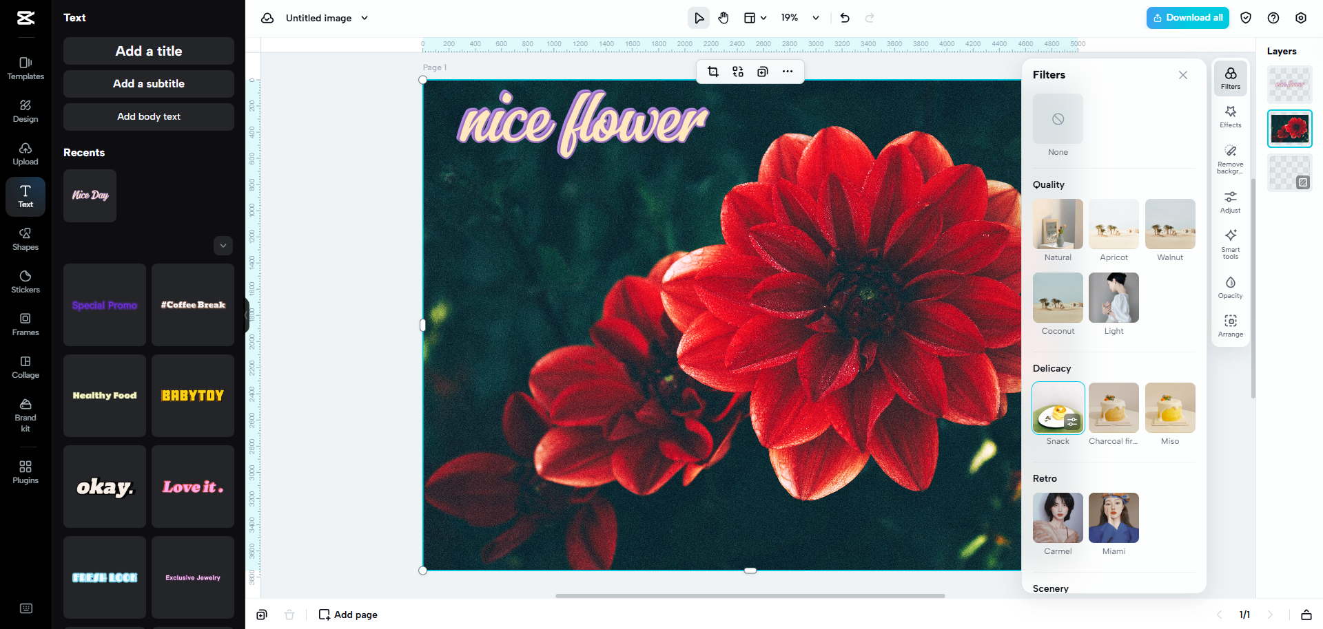 CapCut Web's image editing interface