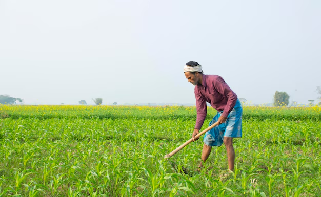 Farmer working in field with crops and tools