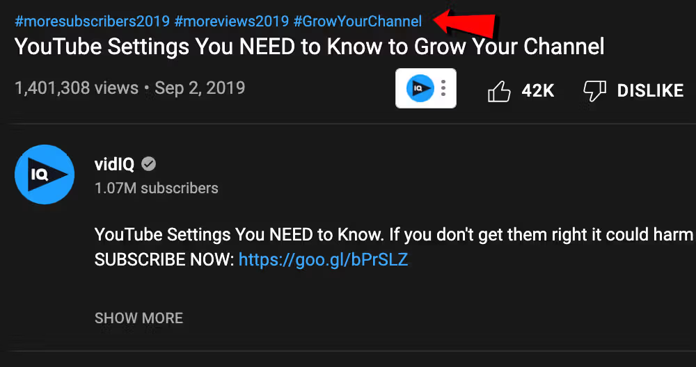 Secțiune de etichete YouTube cu cuvinte cheie relevante evidențiate.