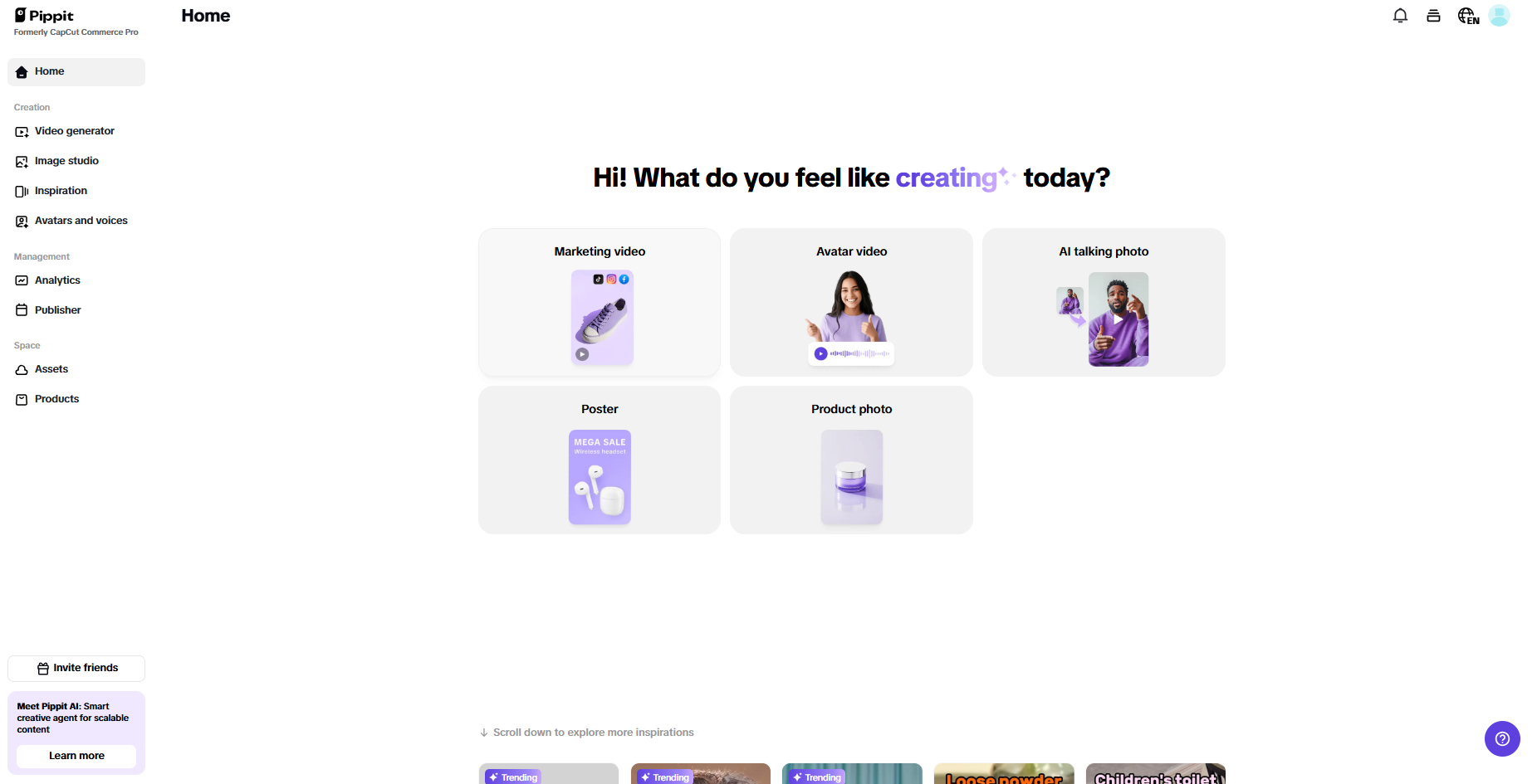 Pippit interface