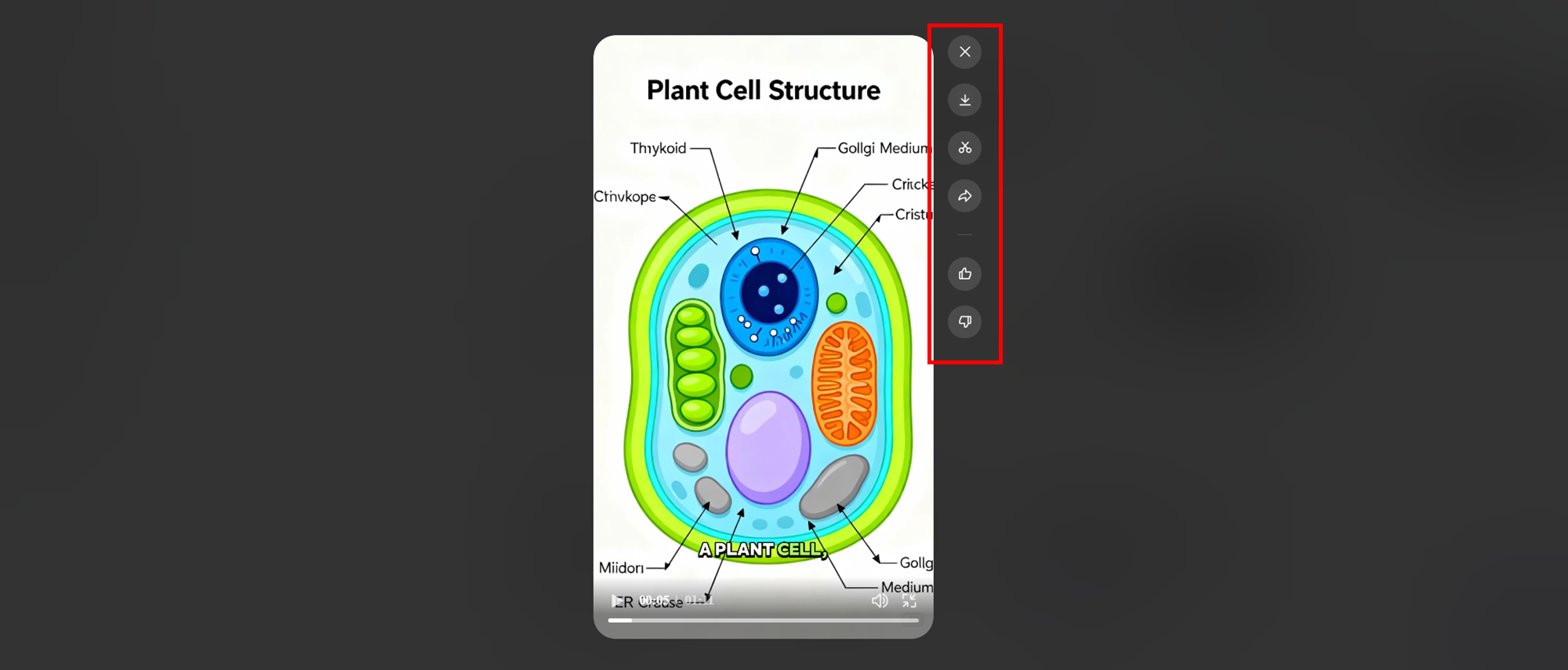 Enter prompt and generate video