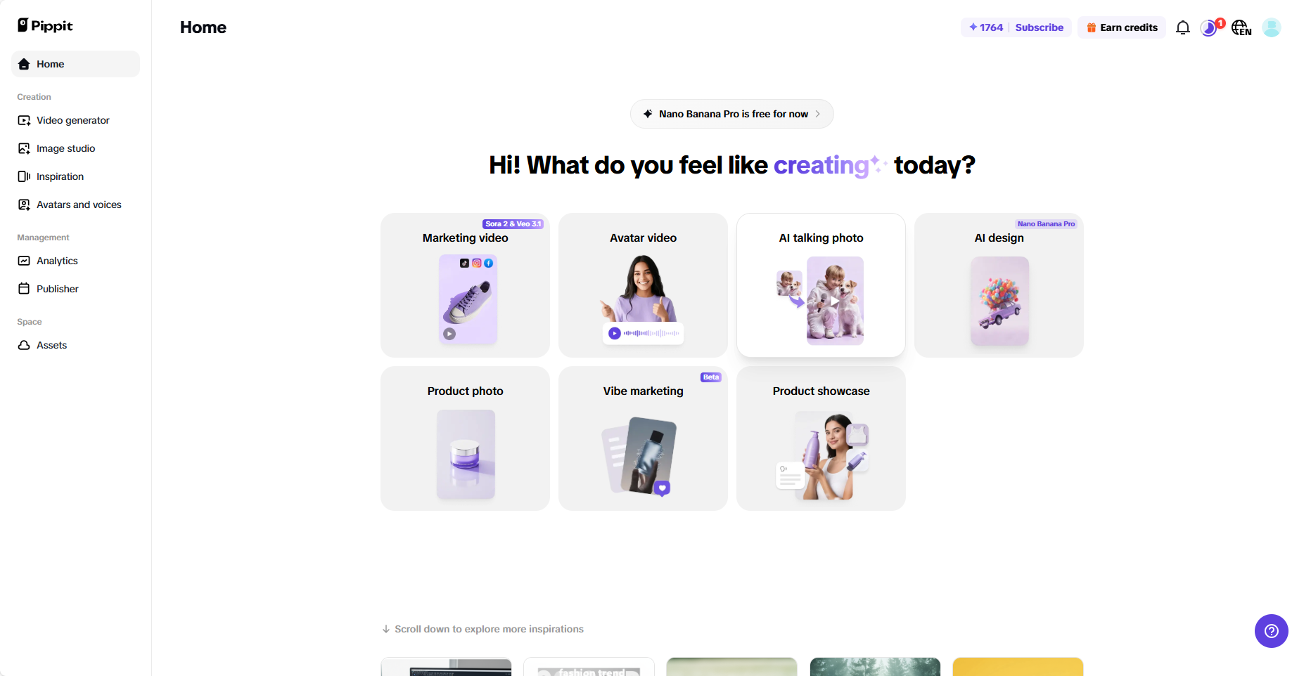 Pippit interface