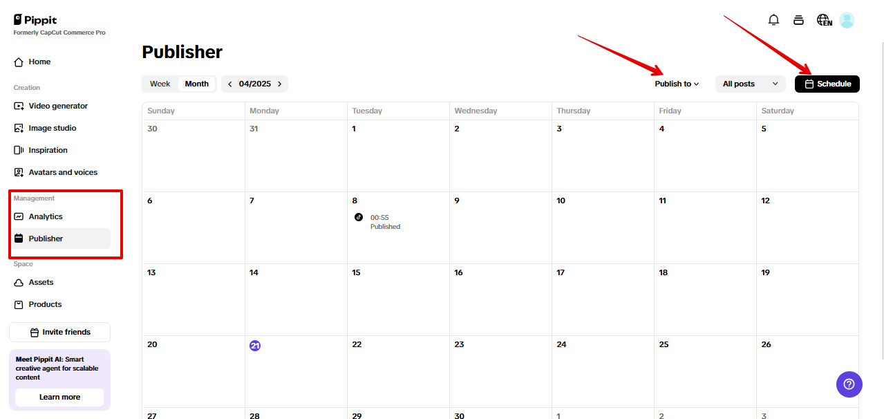 Auto publisher ng Pippit