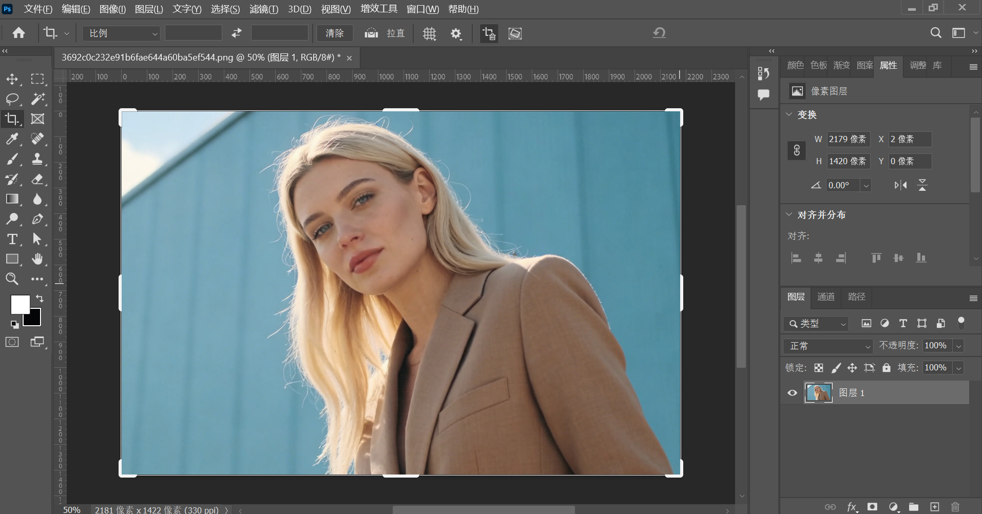 Resize Images Using Photoshop