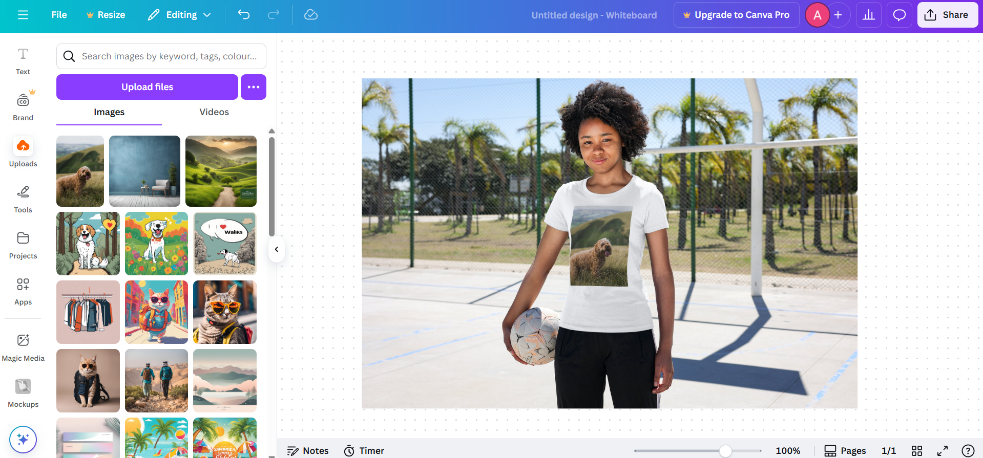 Canva interface