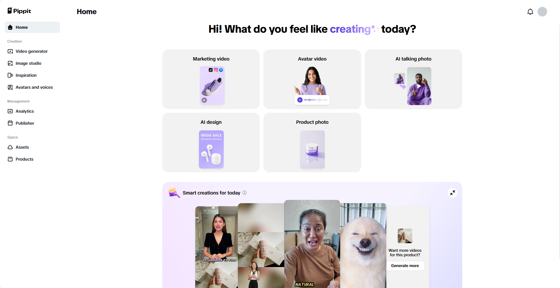 Pippit interface