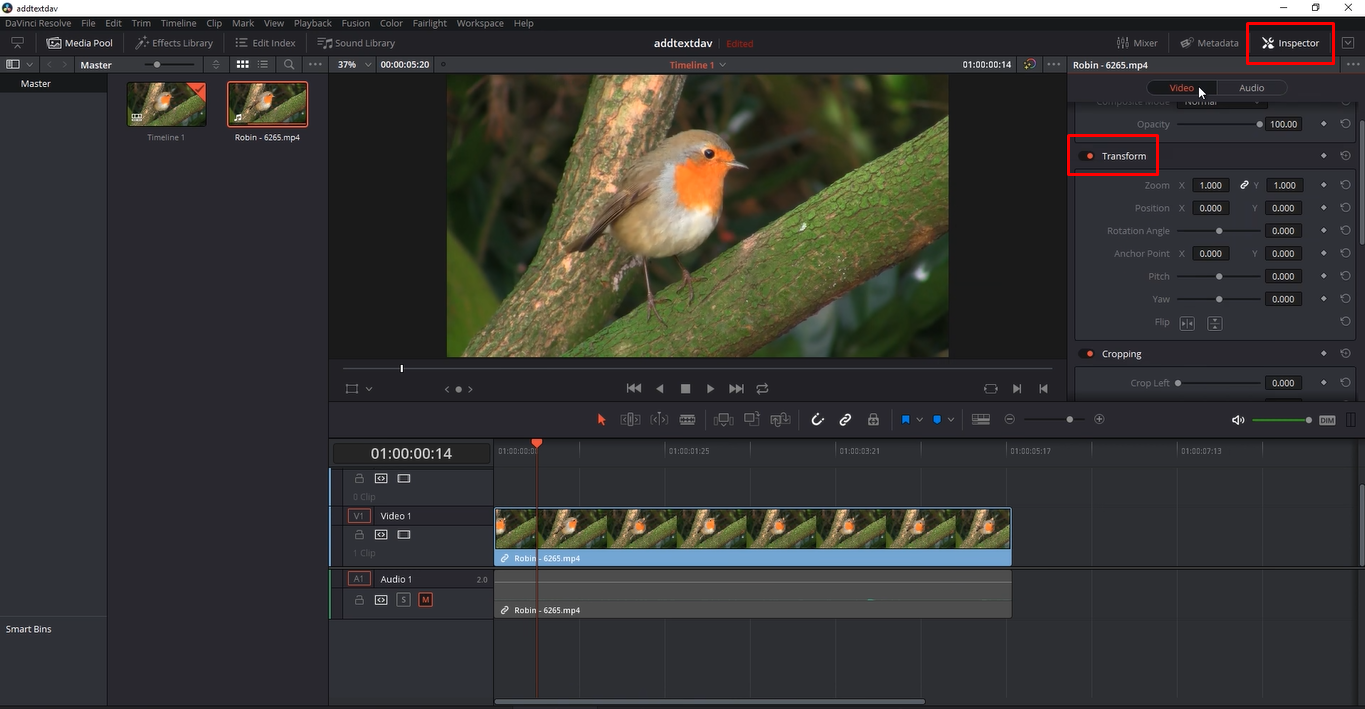 Using the transform tool in Davinci Resolve to zoom in on clips