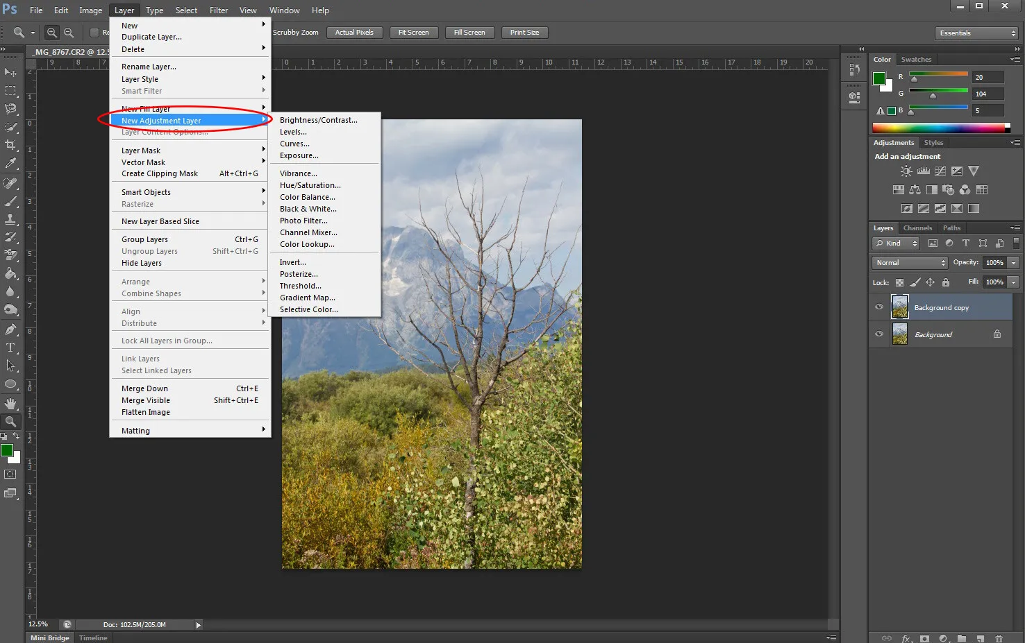 Adjustment layers in Photoshop