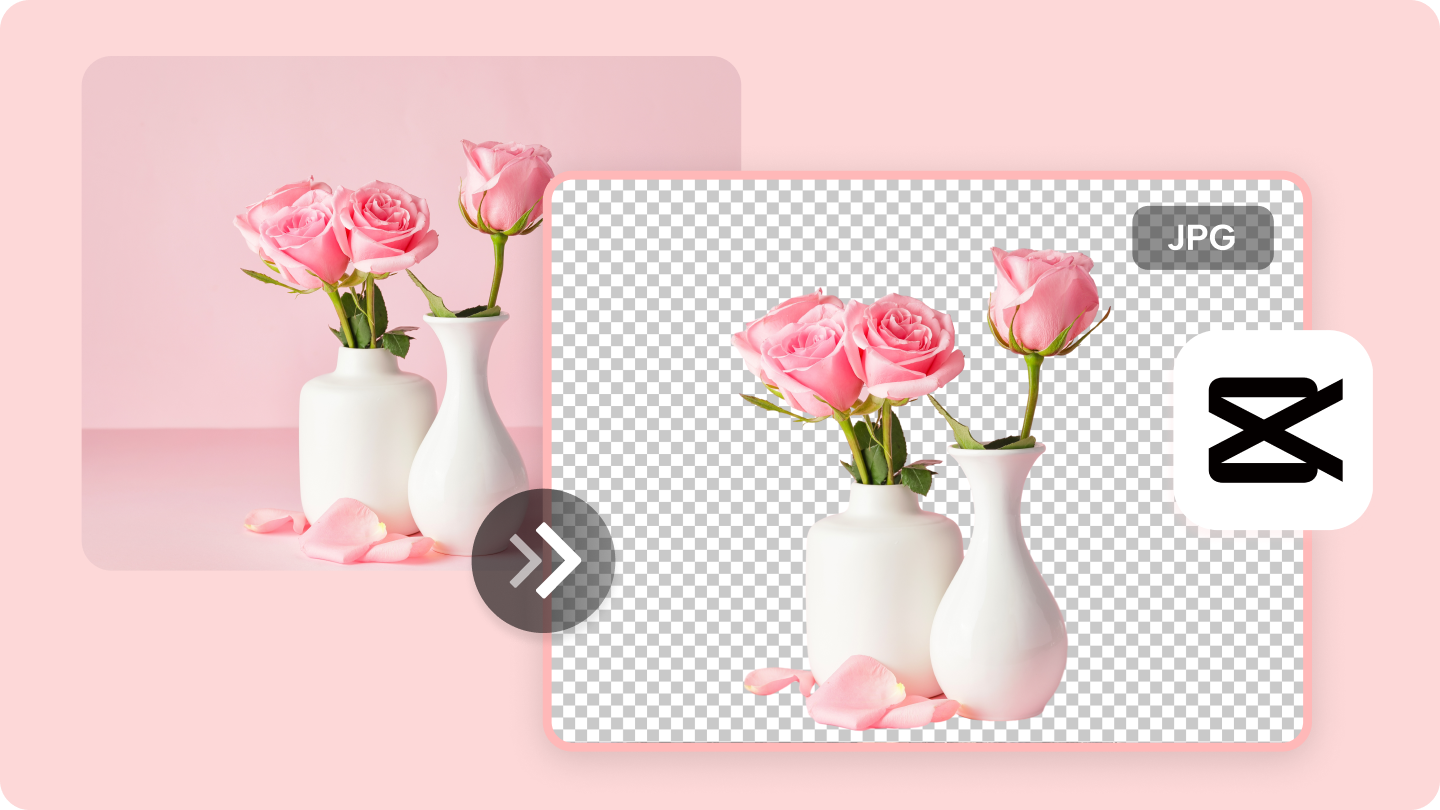 BG remove JPG