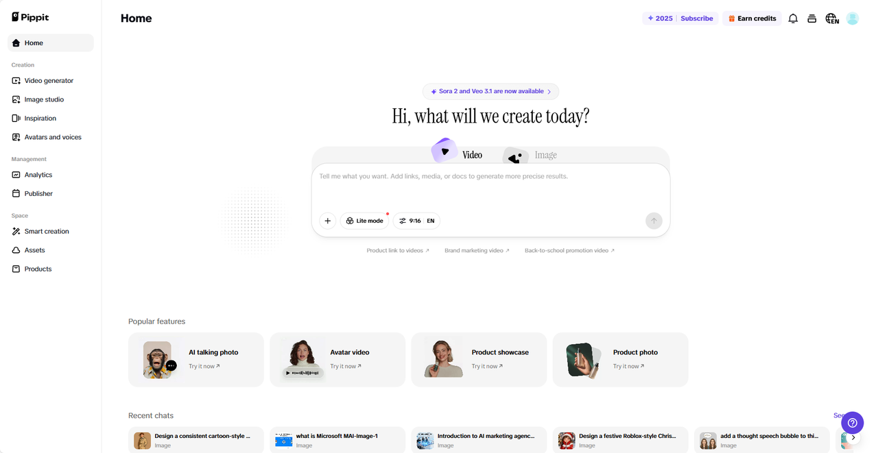Pippit interface