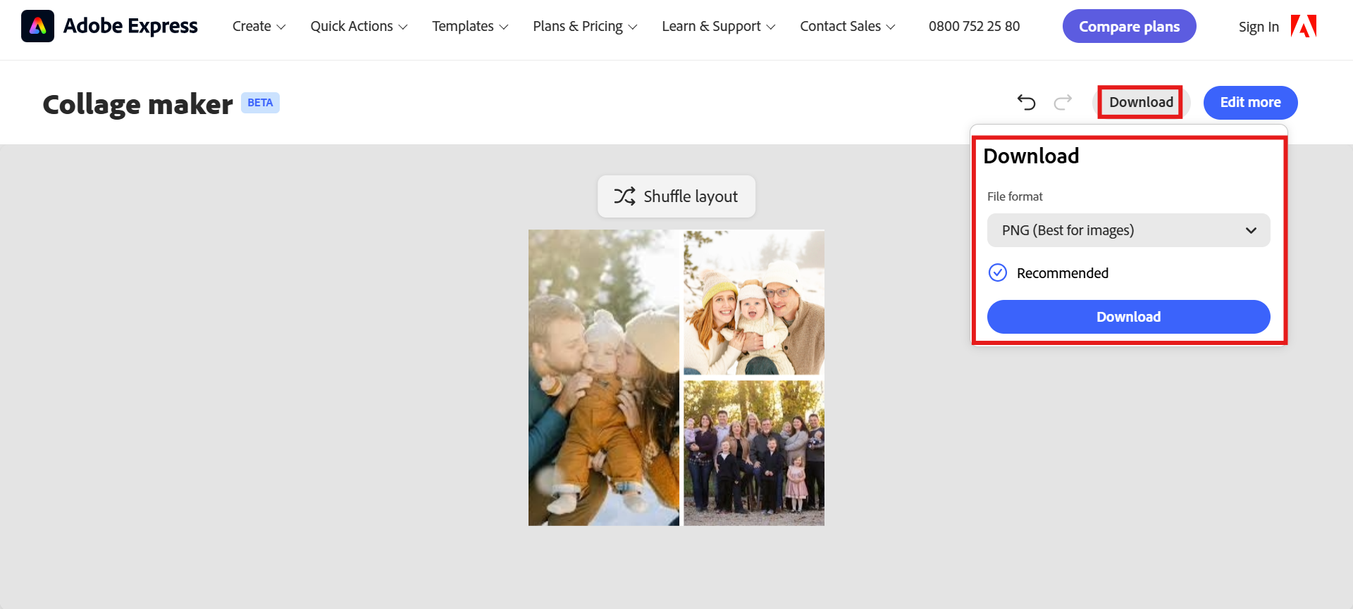 Download the final image