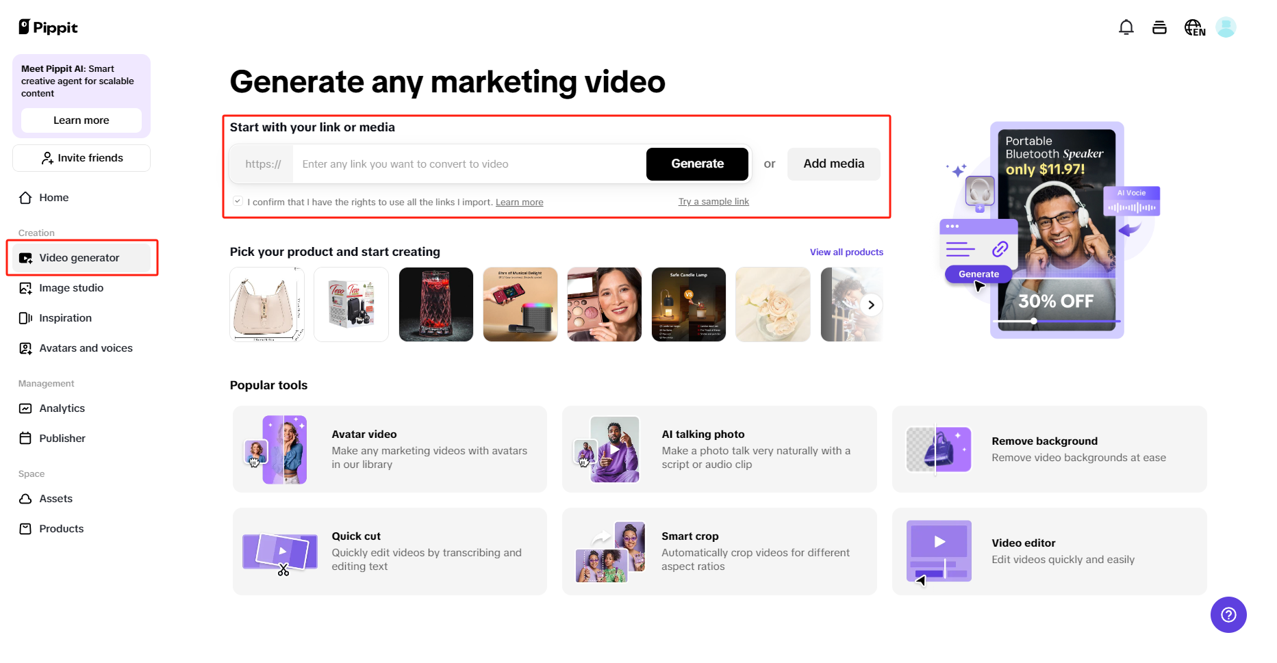 how to get transcript of youtube video using Pippit
