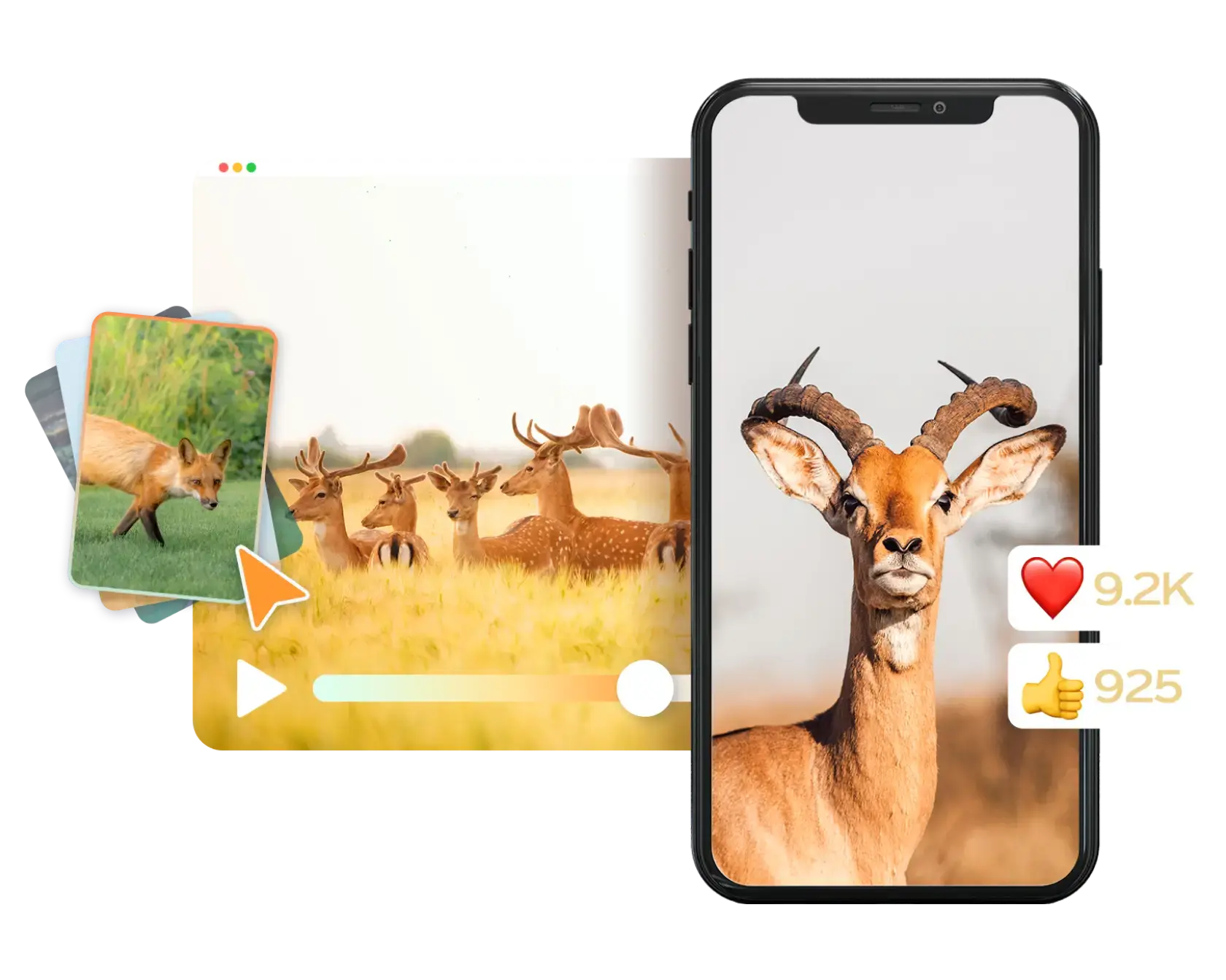 Nature Video Maker
