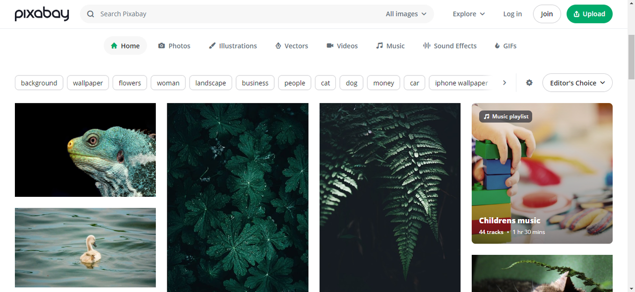 واجهة Pixabay