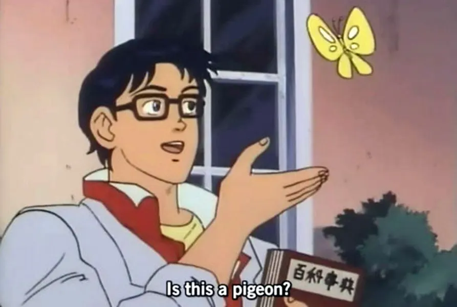 Is this a pigeon meme