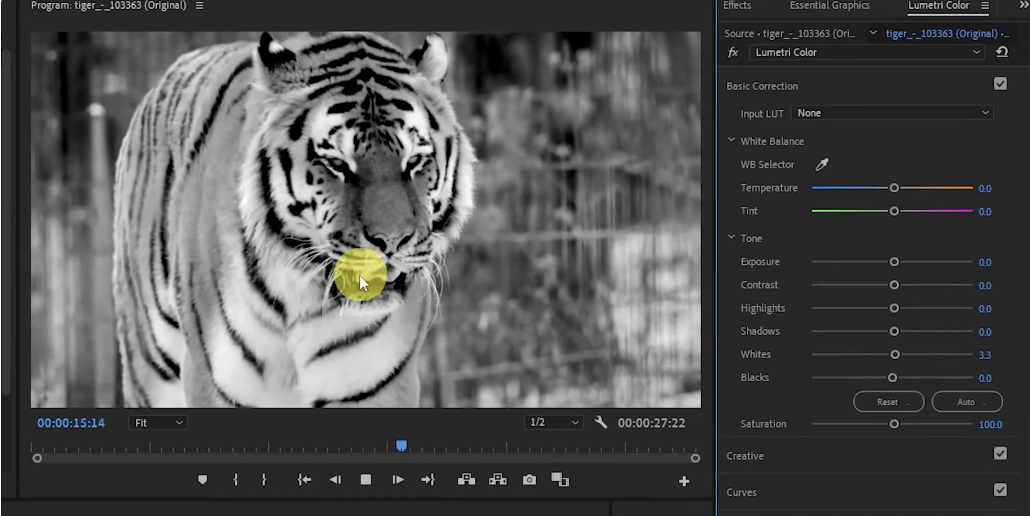 Ajust the video setting