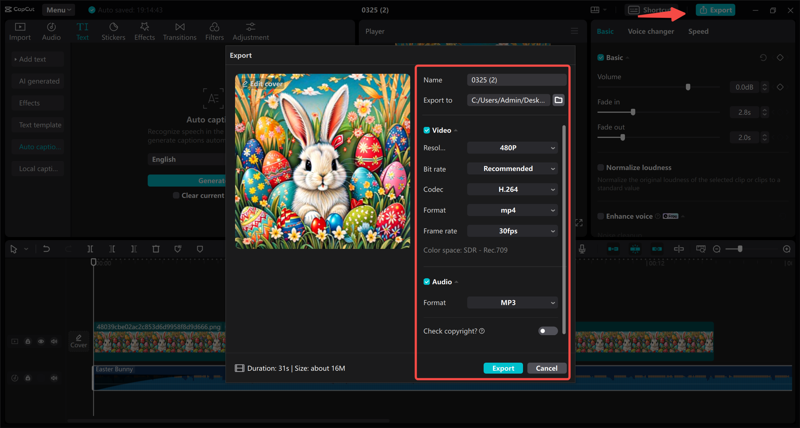 Export video