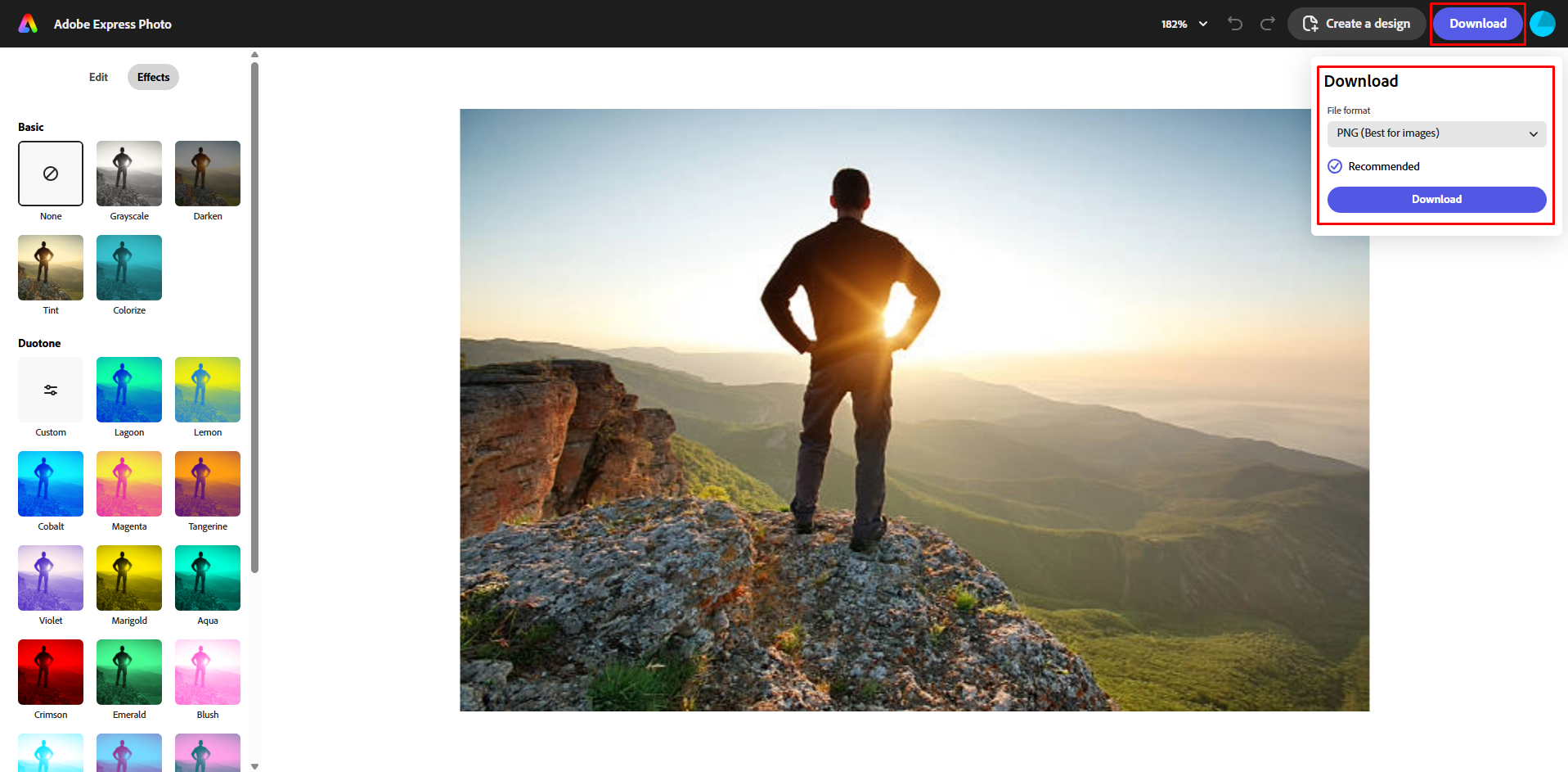 Herunterladen des Bildes aus dem Adobe Online Photo Editor