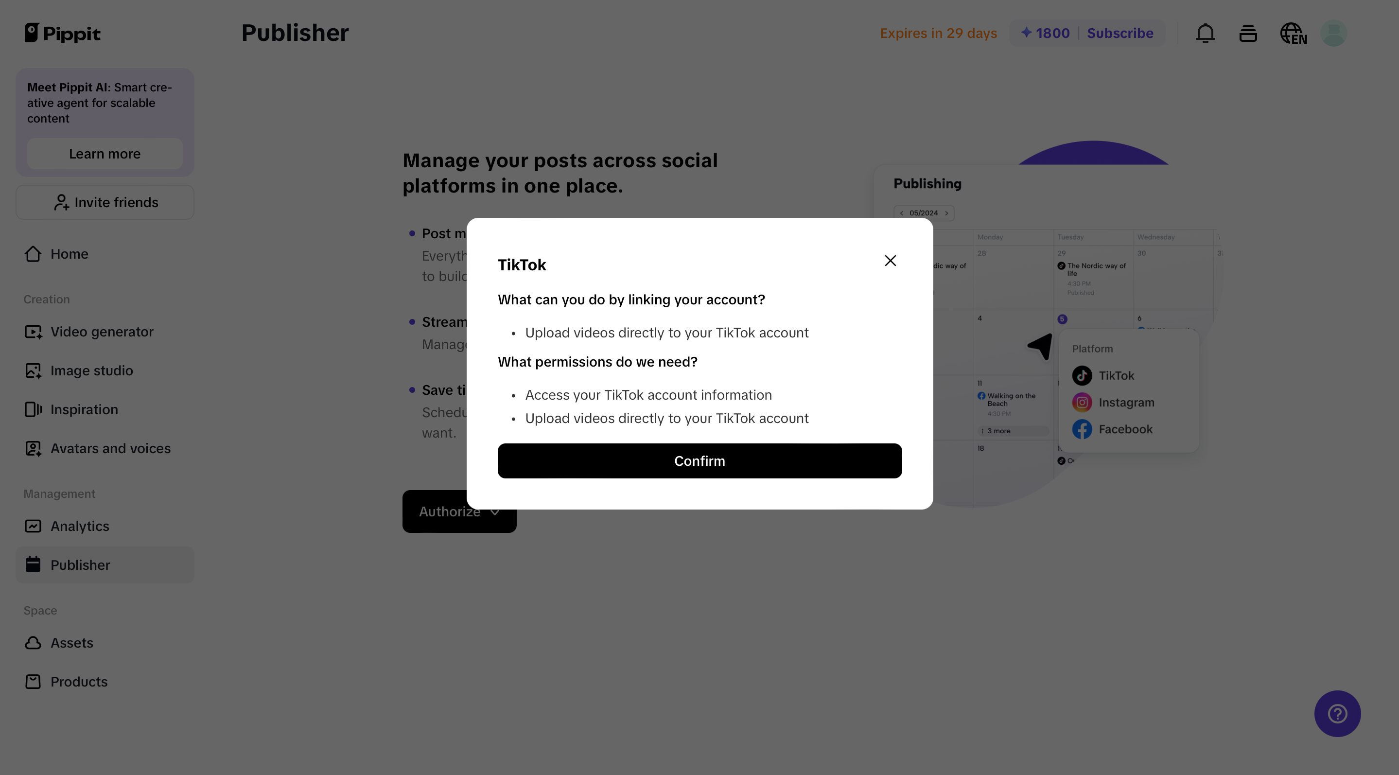 connecting TikTok to Pippit