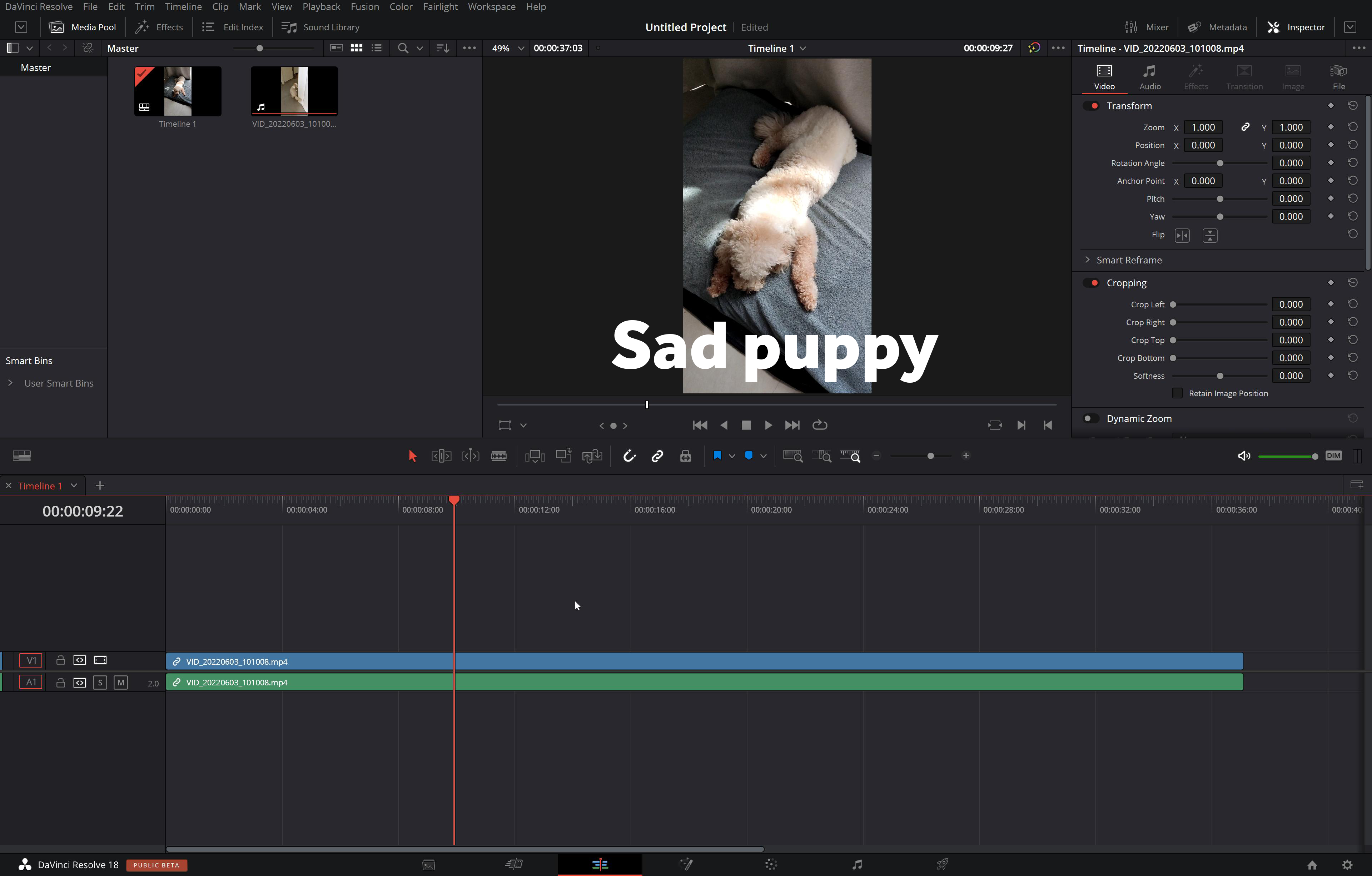 Интерфейс DaVinci Resolve - бесплатного создателя роликов в Instagram для привлекательного контента