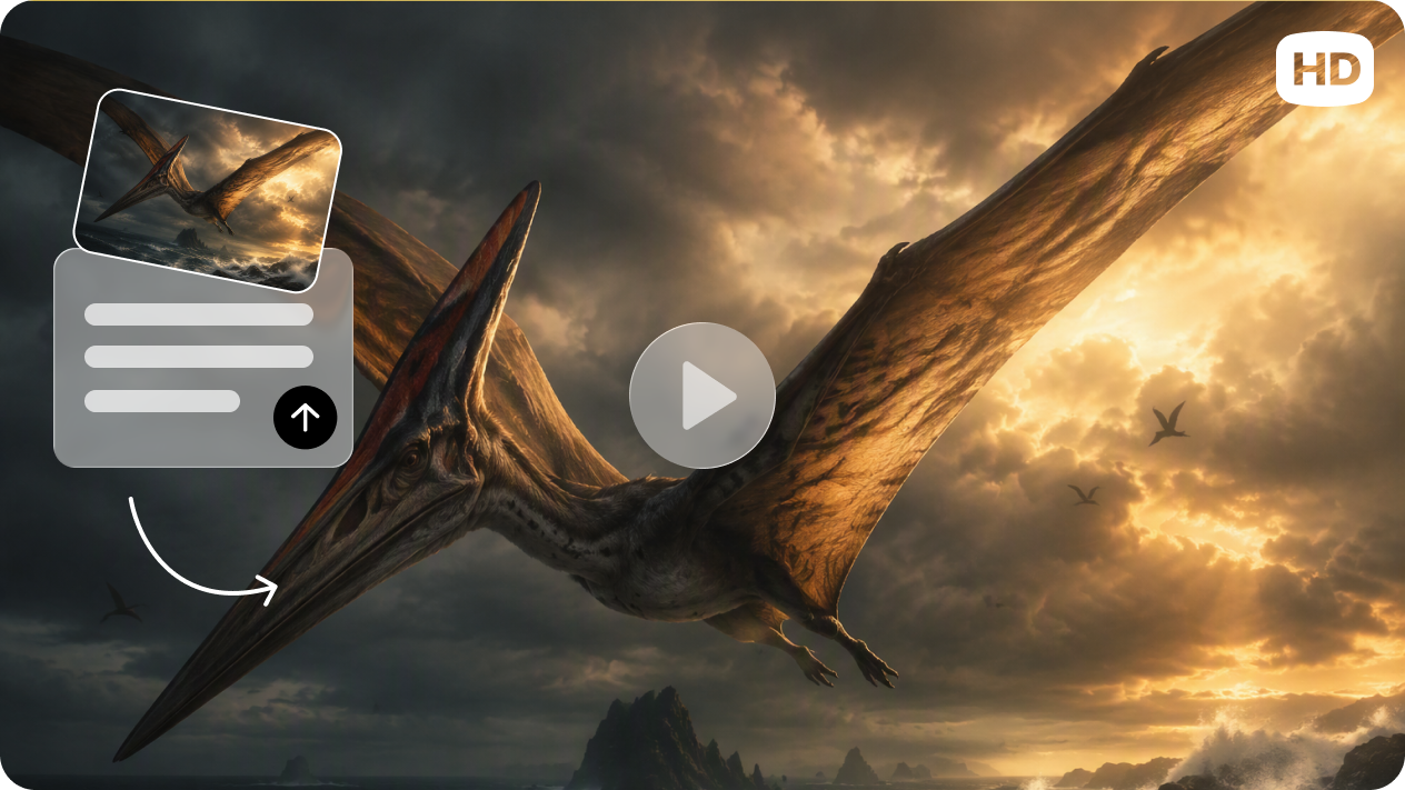 Doku detayları için HD lüks