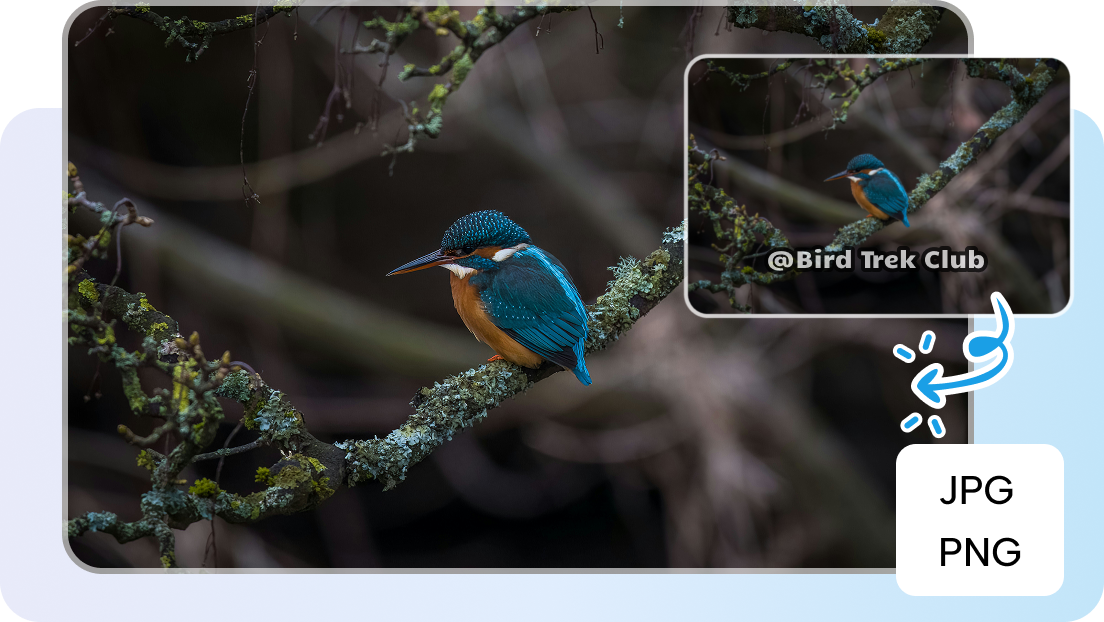 Remove watermark from image for free in multiple formats