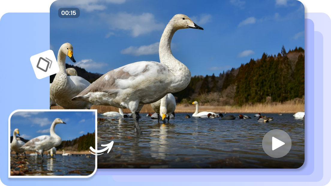 Refine with frame interpolation