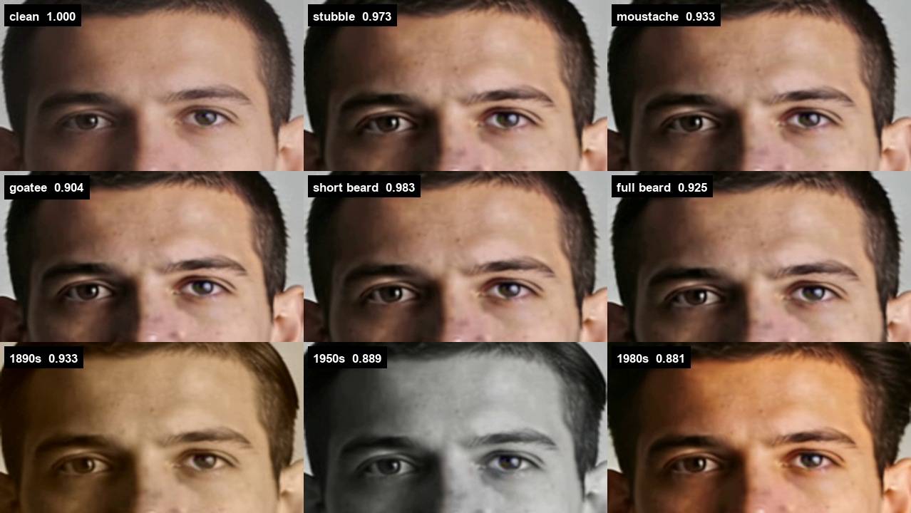 Nine enlarged crops of the same upper face, from brow to under the eyes, one per panel, each labeled with a correlation figure.