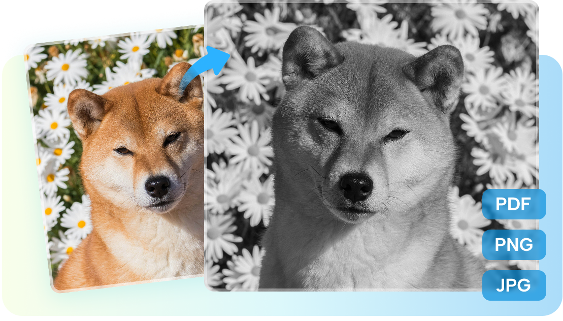 Convert multiple file formats using CapCut, and convert the image to grayscale