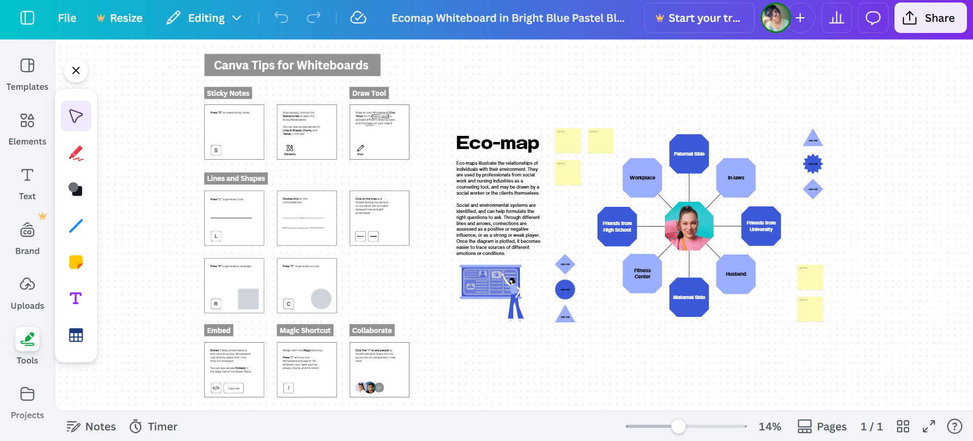 Crea ecomaps con Canva