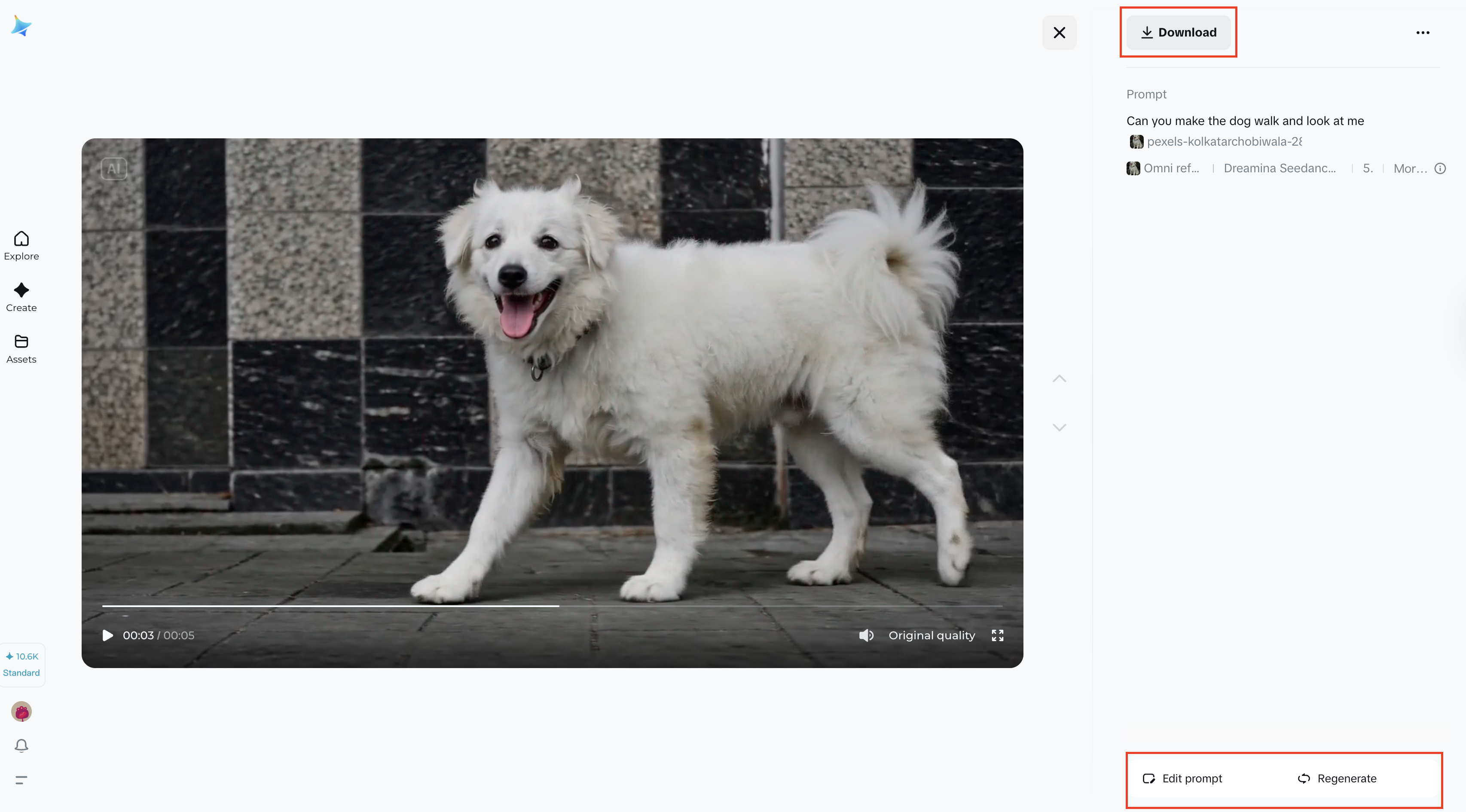 Preview, enhance, and download your video