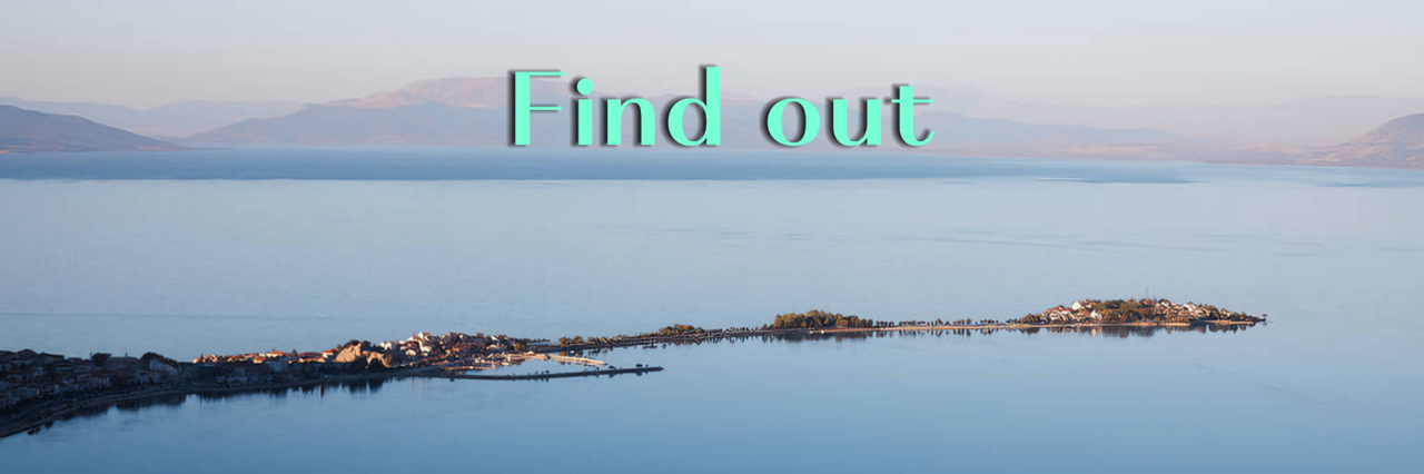 Twitter header