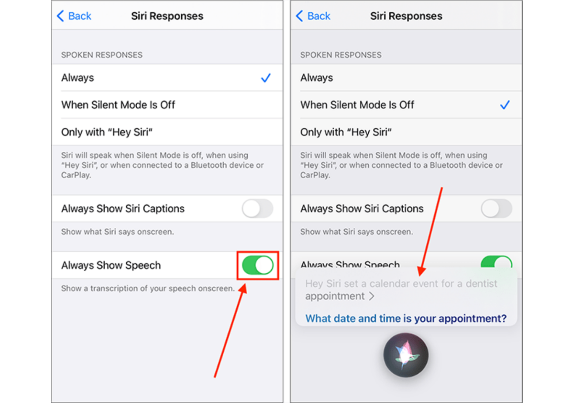 Showing how to customize Siri's responses
