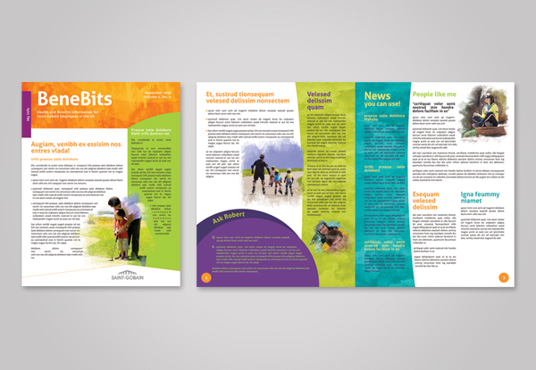 Elements of company brochures