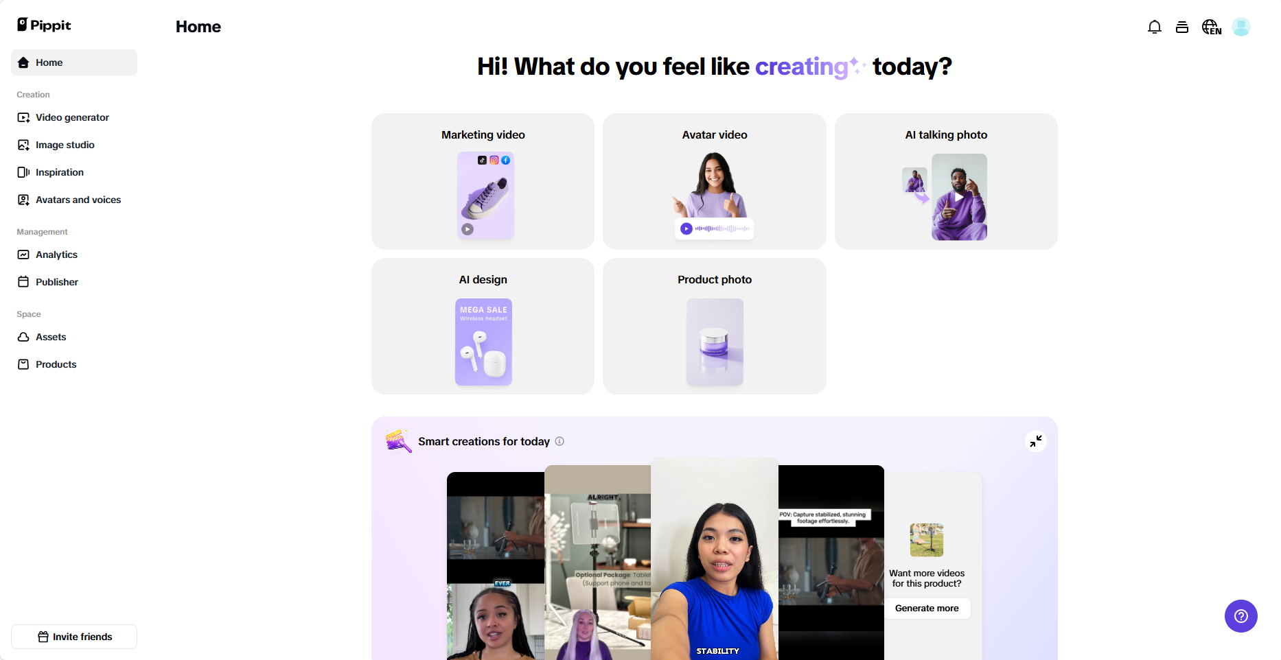 Pippit interface