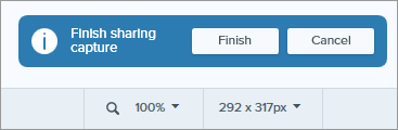 Previewing the screenshot and making necessary edits in Snagit software