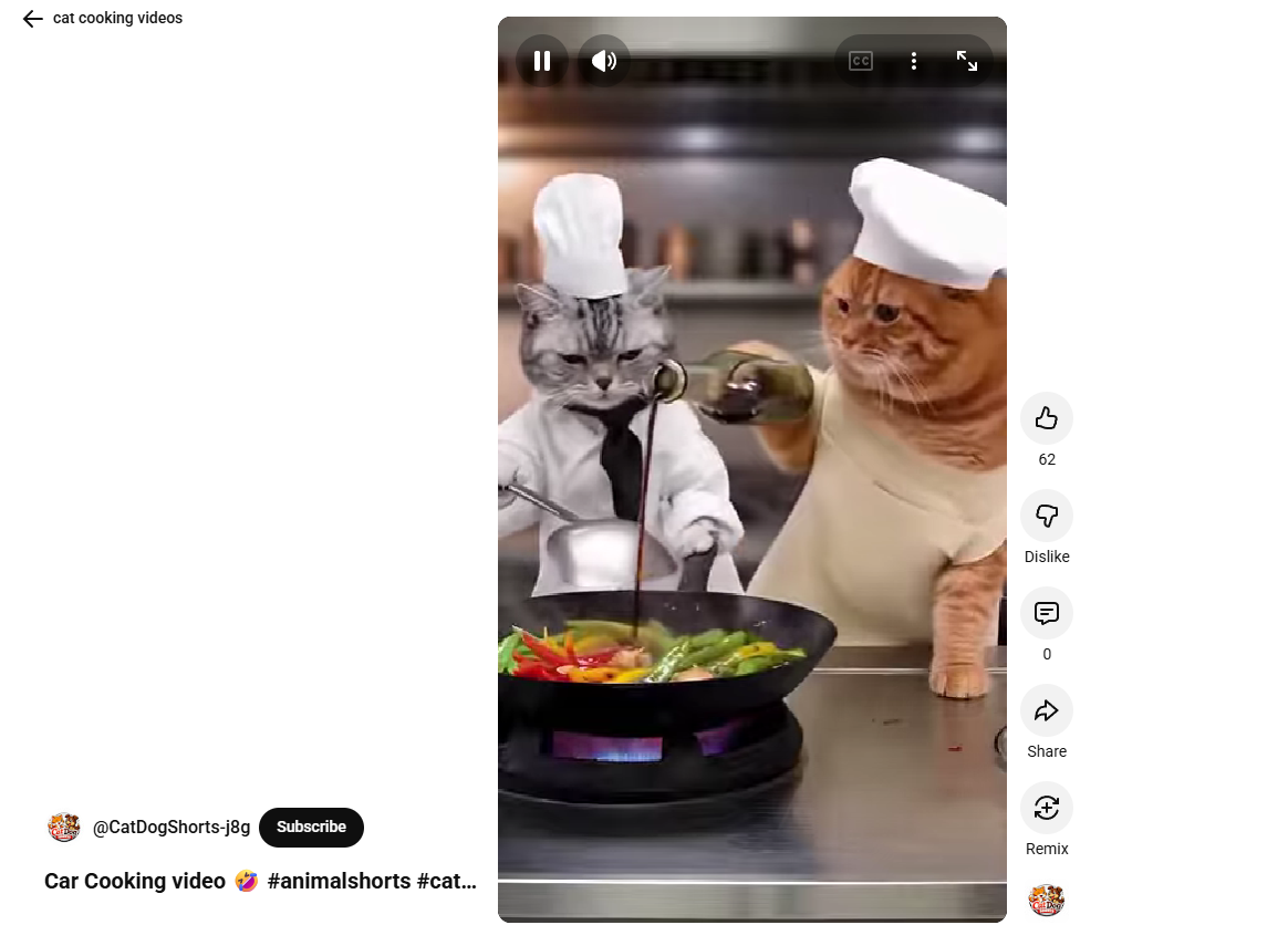Cat cooking video