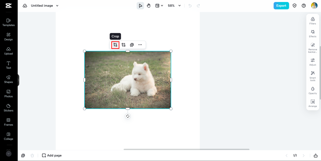 crop with capcut