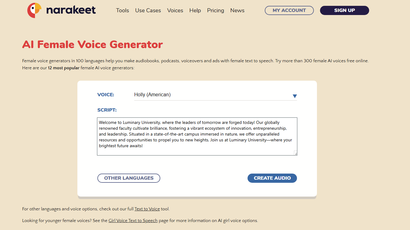 Narakeet interface