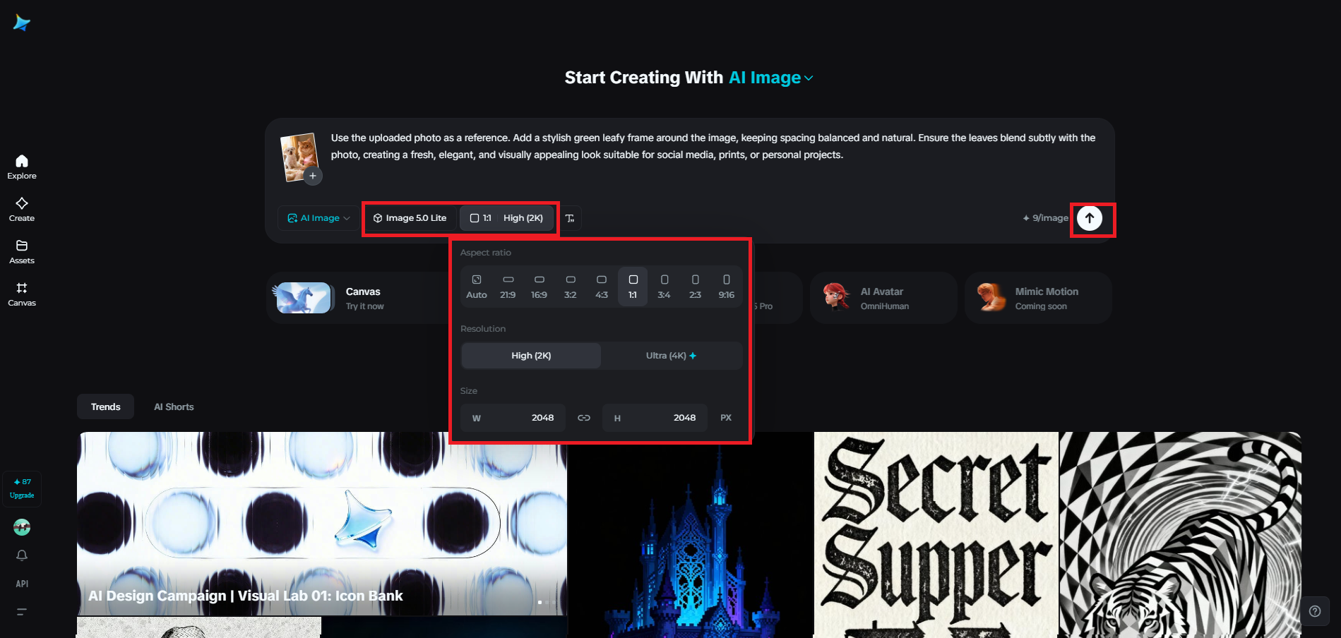 Choose the model and adjust output settings