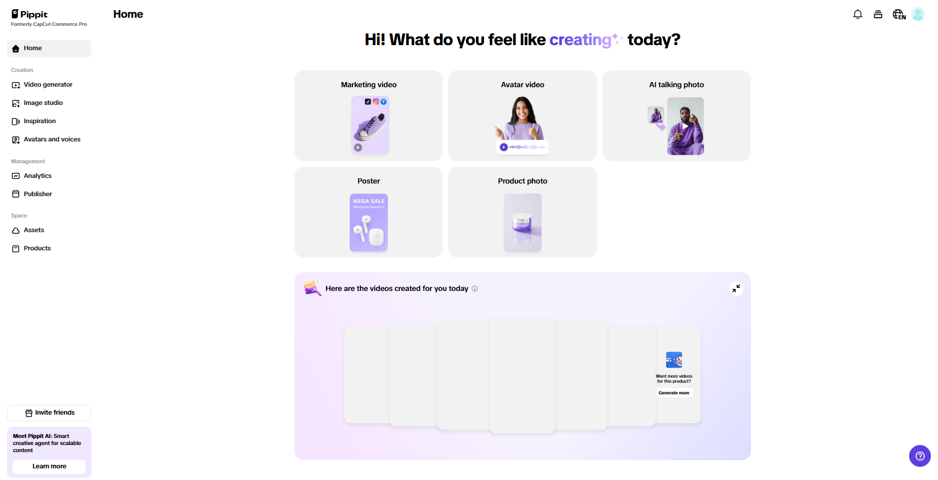 Pippit interface
