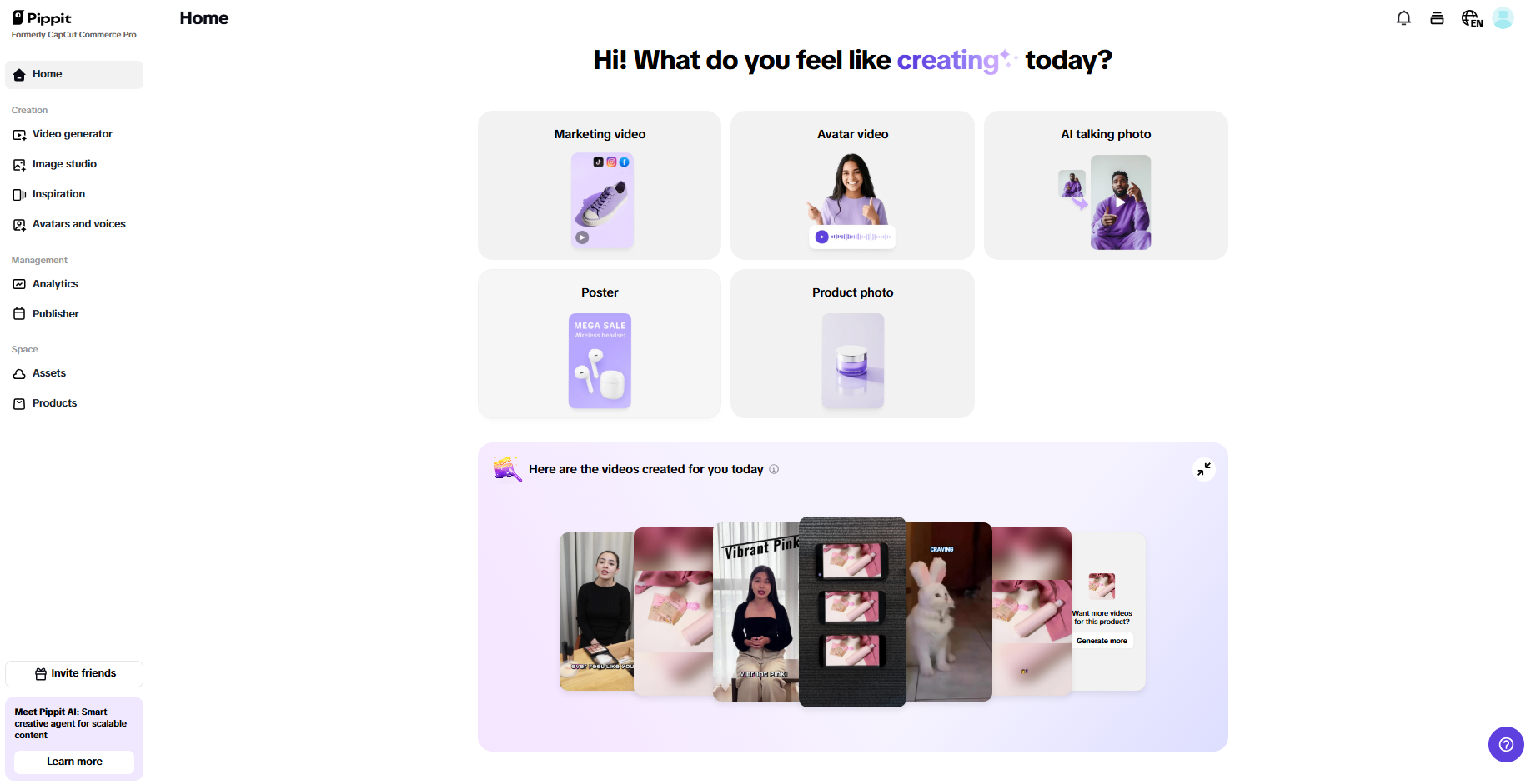 Pippit interface