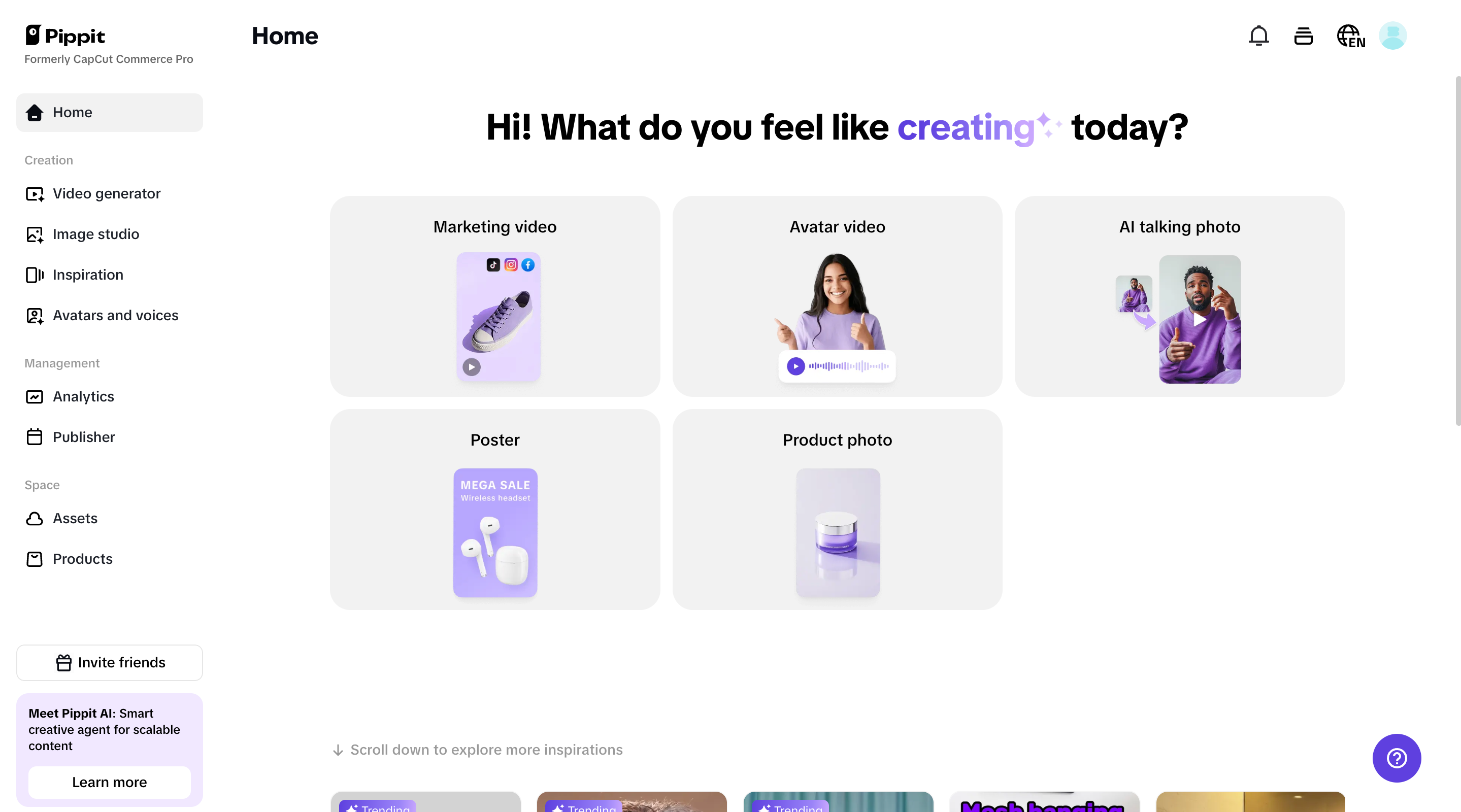 Pippit homepage