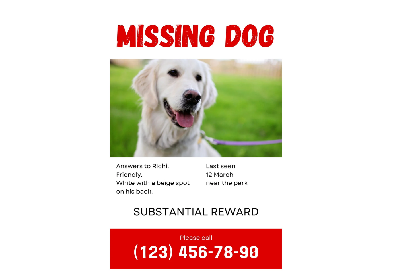 An example of a missing animal poster
