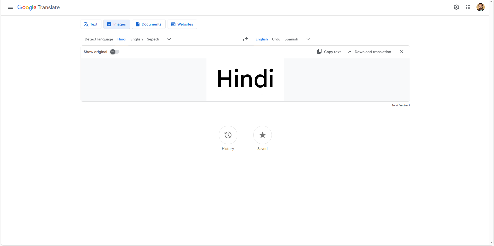 Google Translate Hindi Translate image translation