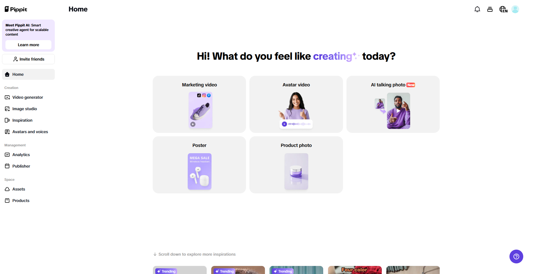 Pippit homepage