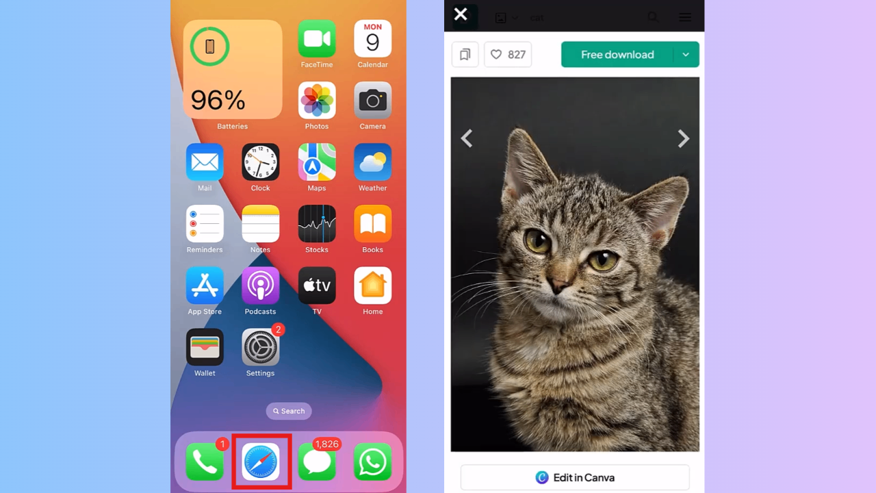 Open Safari browser and navigate to image