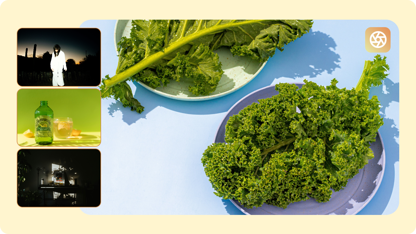 hard light photography